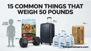 15 Common Things That Weigh 50 Pounds (With Real-Life Examples)