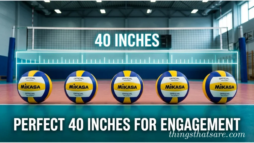 Things That Measure 40 Inches