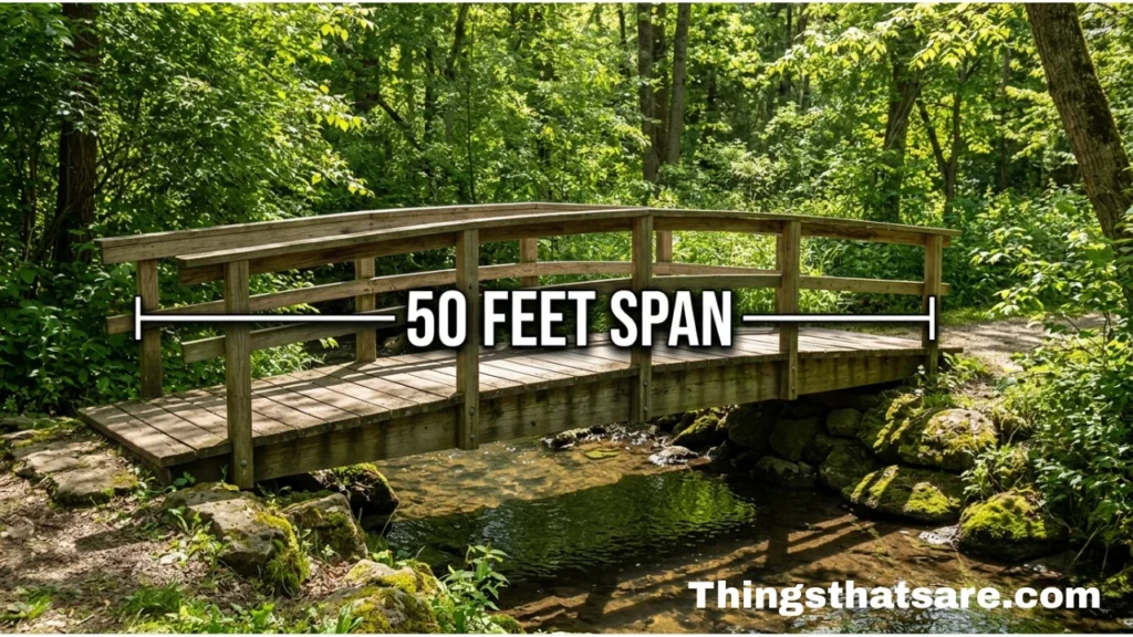 Things That Are 50 Feet Long